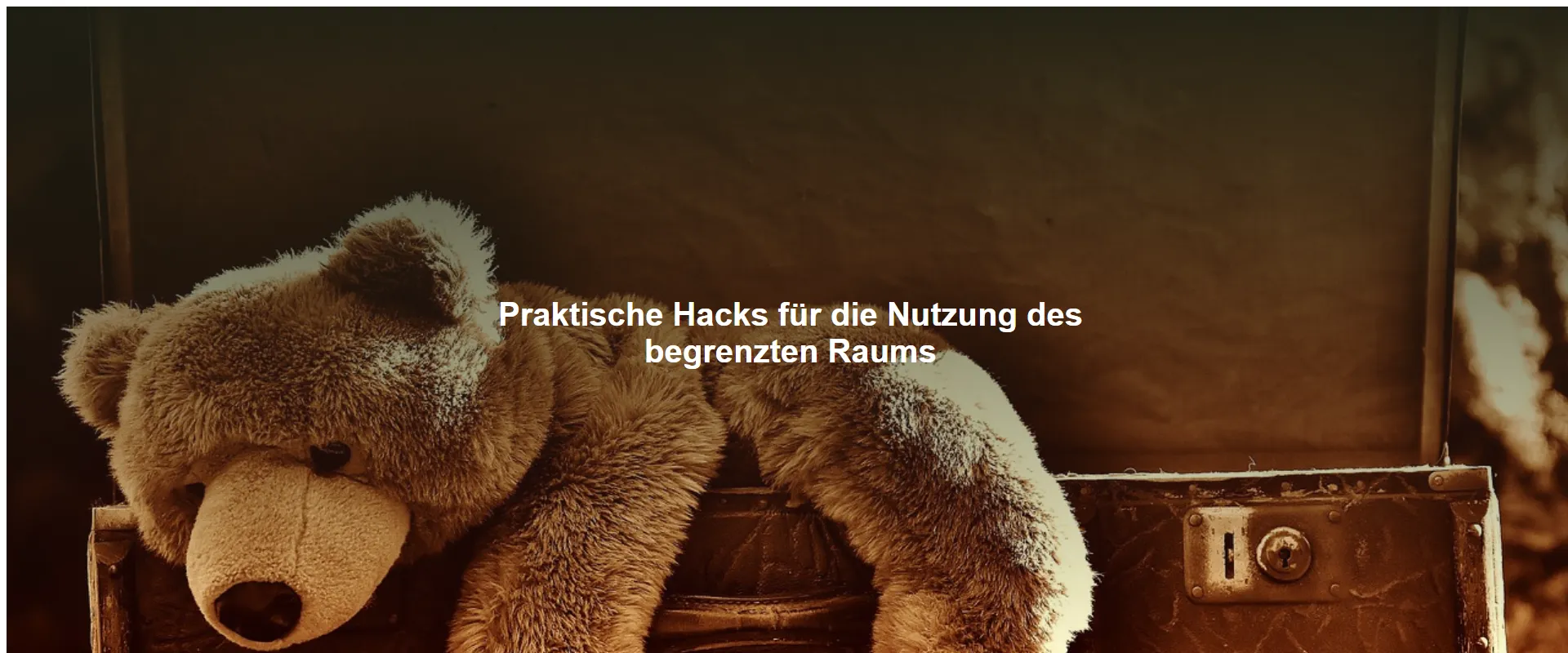 Praktische Hacks für die Nutzung des begrenzten Raums